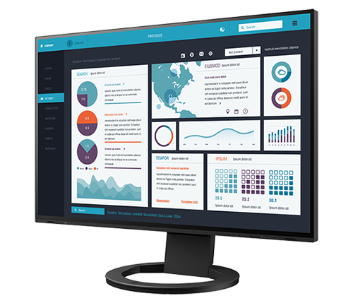 Eizo FlexScan EV2495 Black